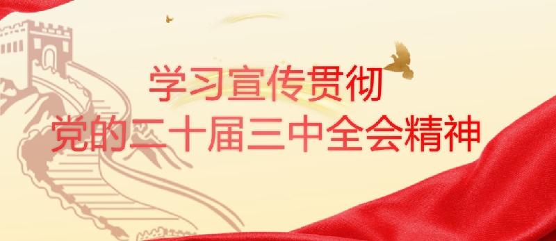 学习宣传贯彻党的二十届三中全会精神 (1).jpg